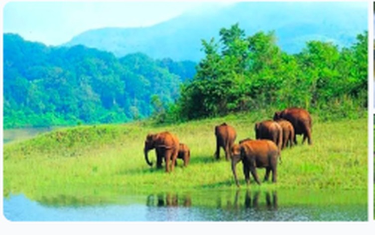 Flawless Kerala Explore